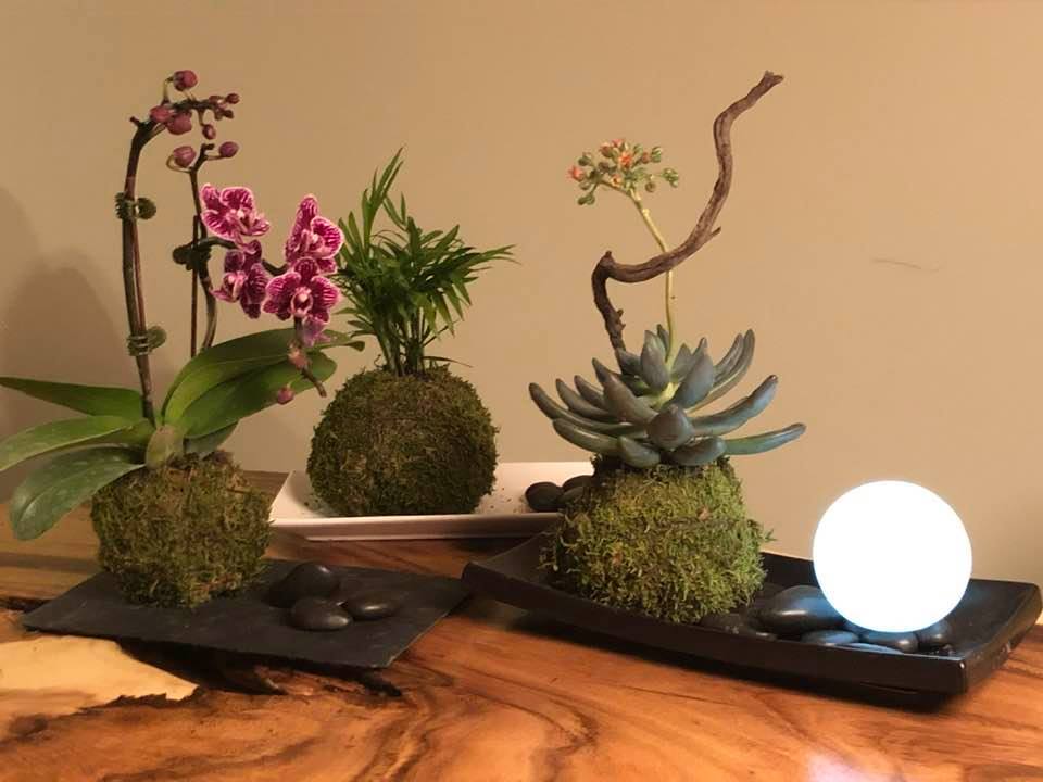 Composition Sérénité d'Orchidée & Lune - Création Lyze