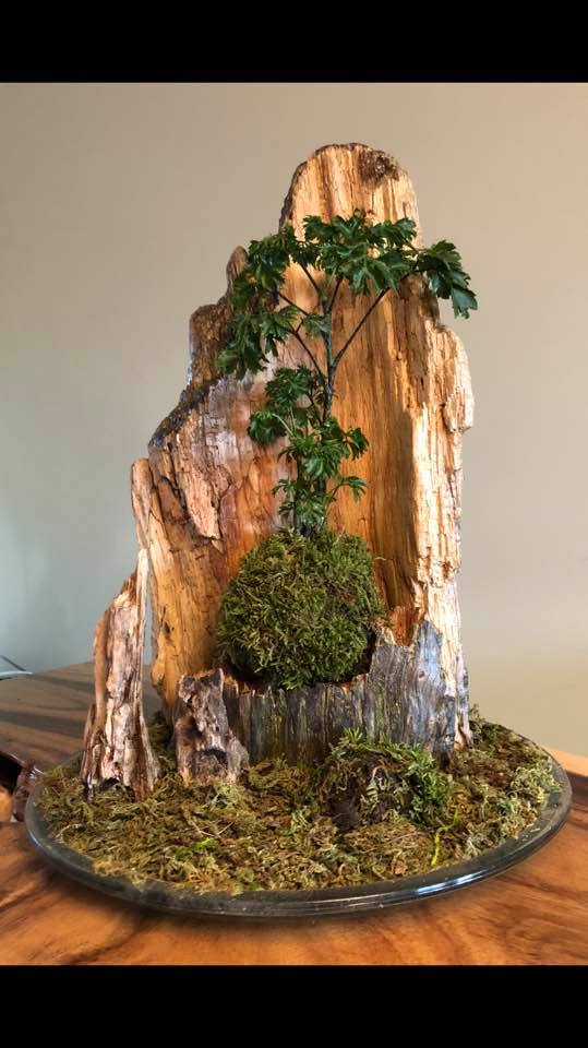 Kokedama L'Arbre du Roc - Création Lyze