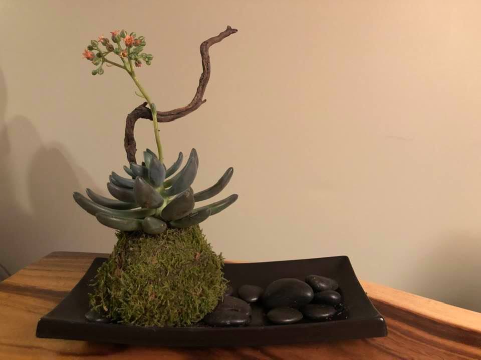 Kokedama Éclosion Minérale - Création Lyze