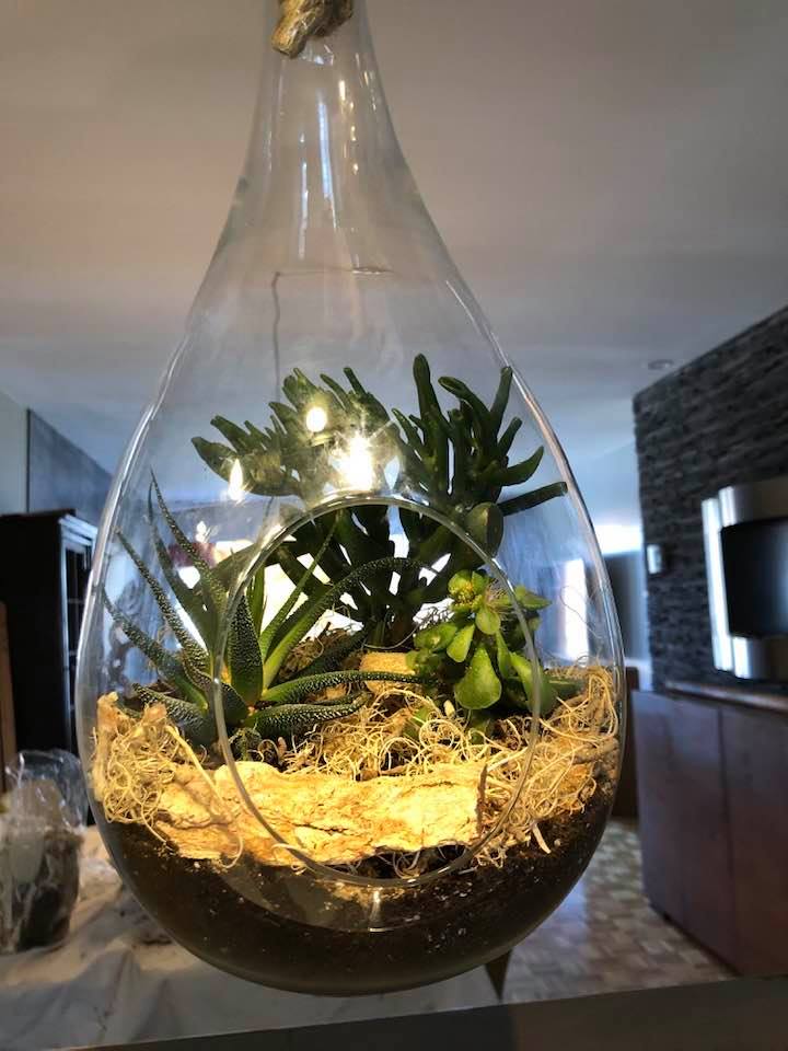 Terrarium La Larme Végétale - Création Lyze