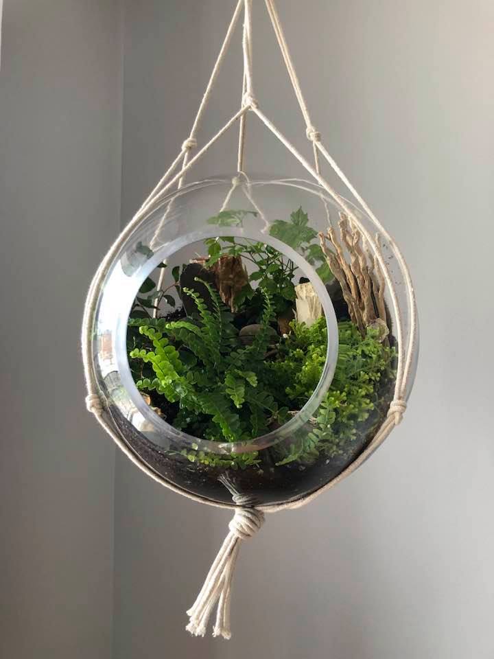 Terrarium L'Orbe Boréale - Création Lyze